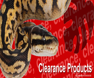 Reptile Centre Promo