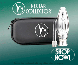 Nectar Collector Promo