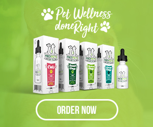 MediPets CBD Promo