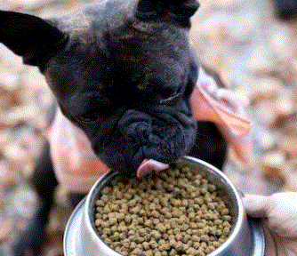 Keto Natural Pet Foods Promo