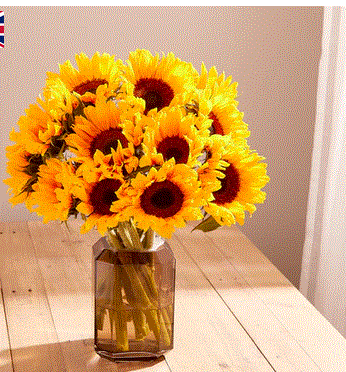 Arena Flowers Promo