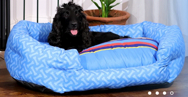 Bunty Pet Products Promo