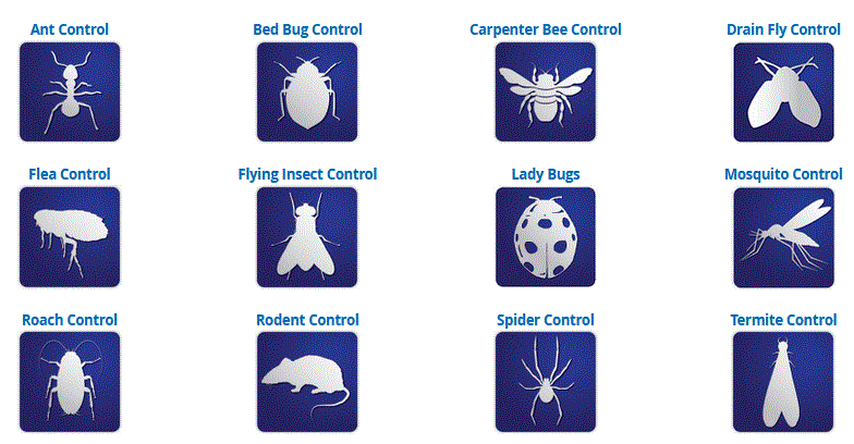 Do It Yourself Pest Control Promo