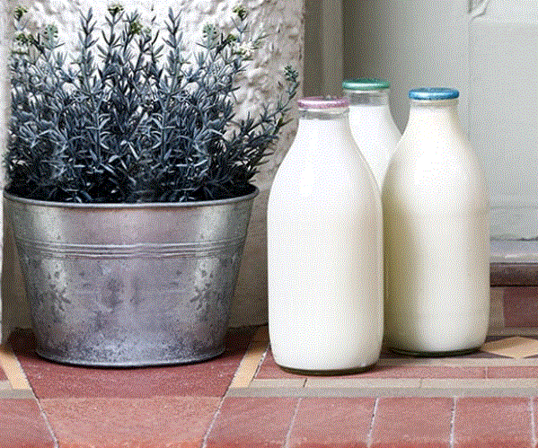 Milk & More Promo