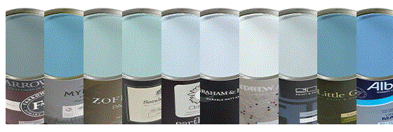 Designer Paint Promo