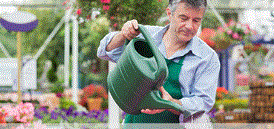 Cherry Lane Garden Centres Promo