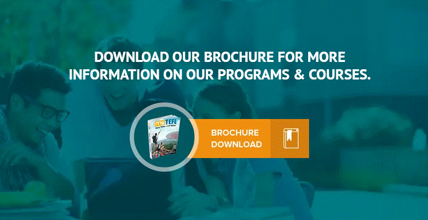 My Tefl Promo