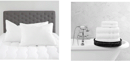 Standard Textile Promo