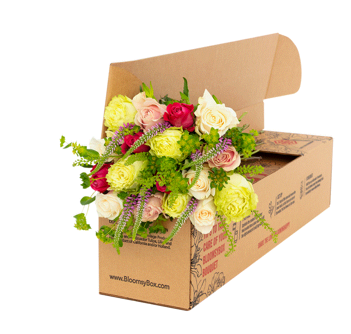 Bloomsy Box Promo