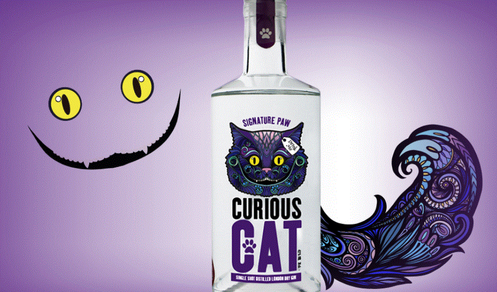 Curious Cat Promo