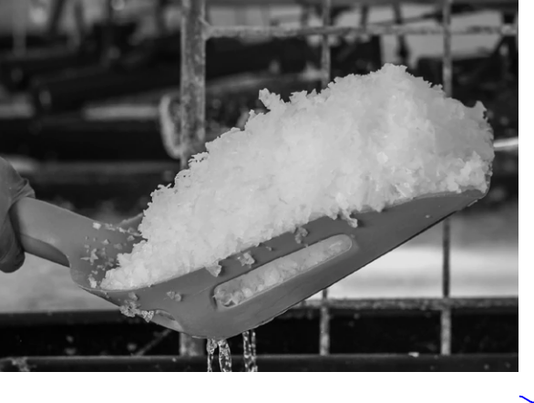 Dorset Sea Salt Co Promo