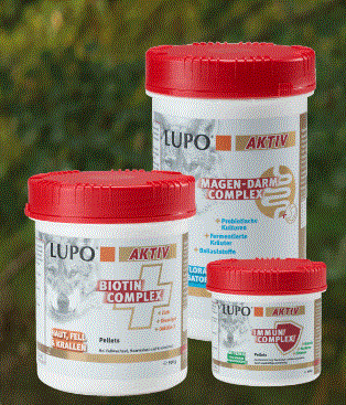 Futter Shop Promo