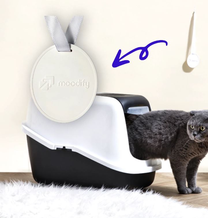 Moodify Pet Promo
