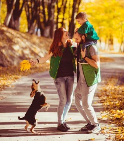 Train Pet Dog Promo