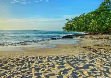 Apple Vacations Promo