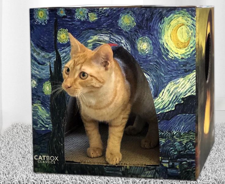 Cat Box Classics Promo