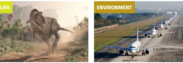New Scientist Promo