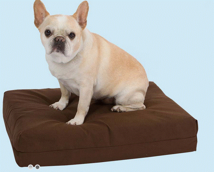 Pet Support Systems Promo